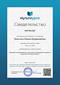 Свидетельство Методические рекомендации по написанию индивидуального проекта